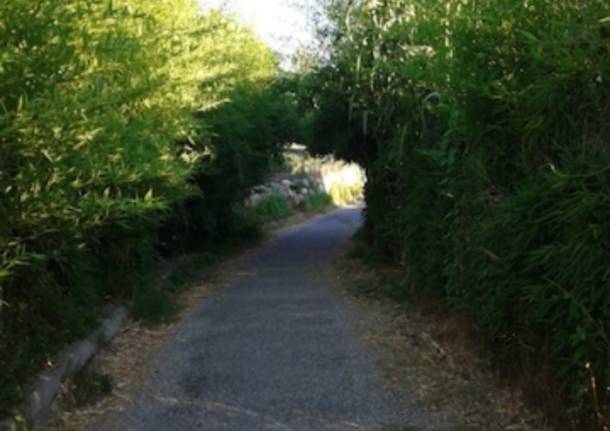 ciclabile lago di comabbio 2012 (per gallerie fotografiche)