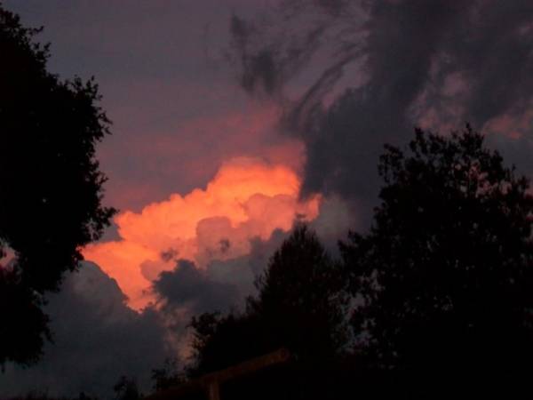 I nuvoloni dei lettori (inserita in galleria)