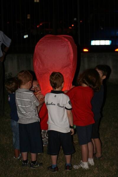 IMG 3936