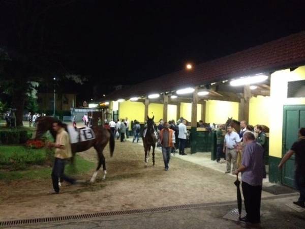 L'ippodromo cambierà (inserita in galleria)