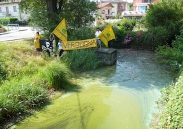 rio bolletta porto ceresio