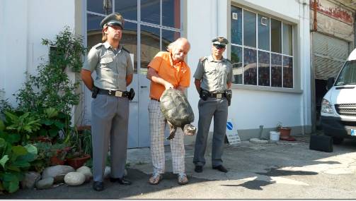 Tartaruga azzannatrice a Vergiate (inserita in galleria)