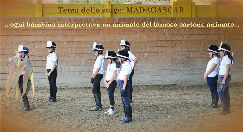 Tema Madagascar