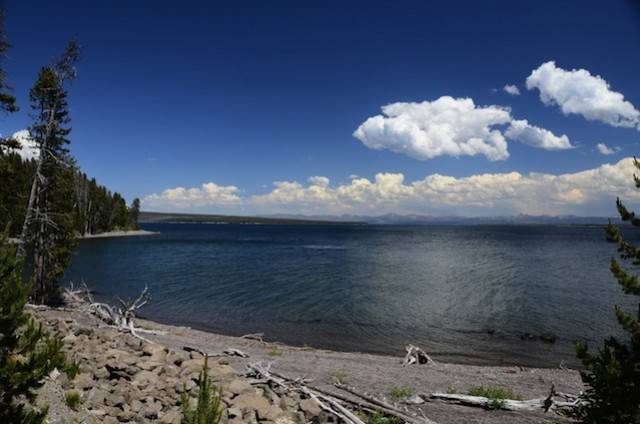 Yellowstone