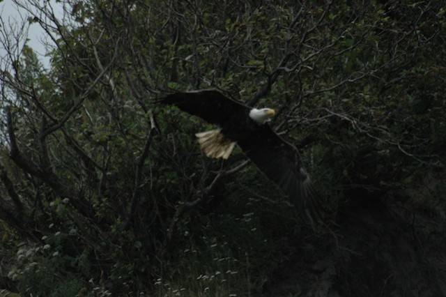 Alaska