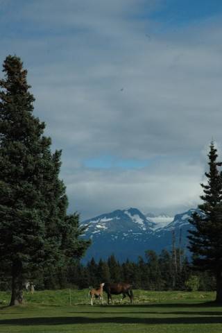 Alaska