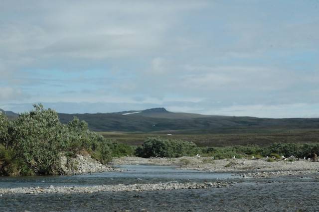 Alaska