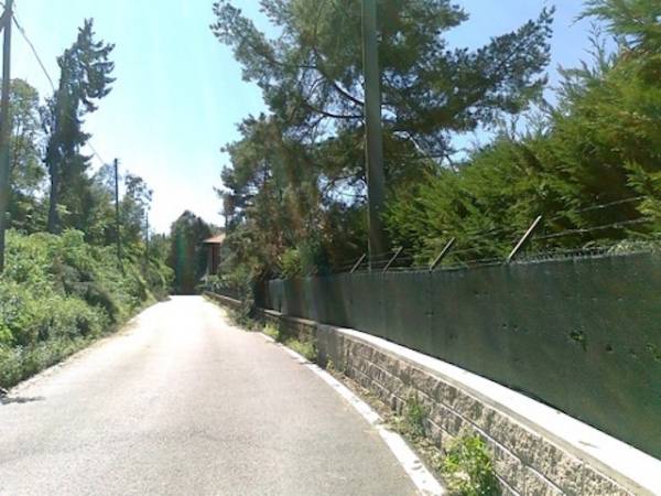 Alberi caduti tra Laveno e Castelveccana (inserita in galleria)