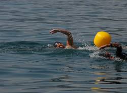 Da Pallanza all'Isola Madre a nuoto (inserita in galleria)