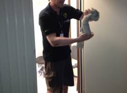 Dietro le quinte della 24 Ore di Spa (inserita in galleria)