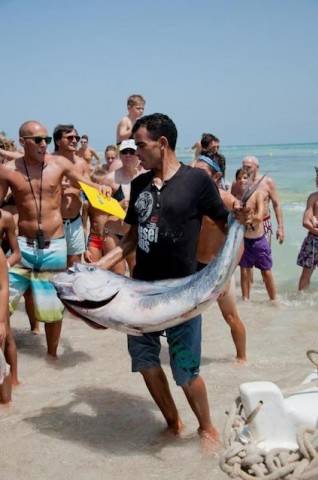 Djerba