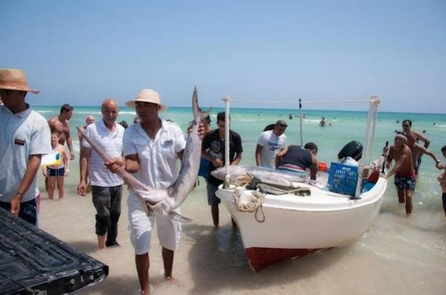 Djerba
