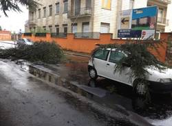 Dopo la tempesta, un ramo piomba nell'abitacolo (inserita in galleria)