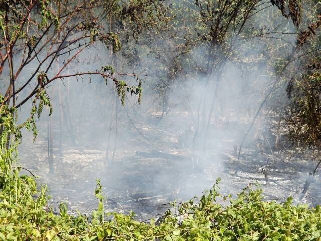 fuoco  10 