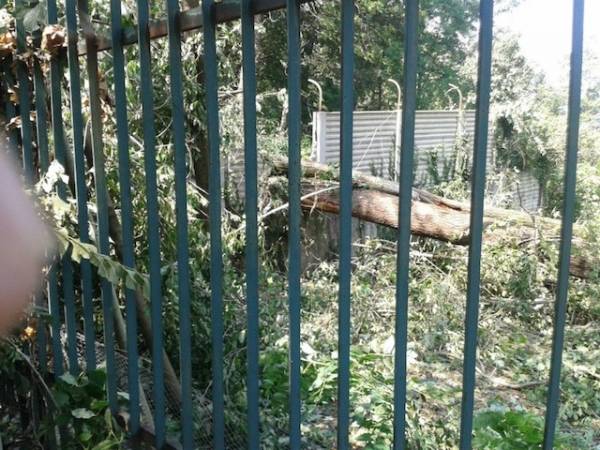 I danni del temporale a Cazzago Brabbia (inserita in galleria)