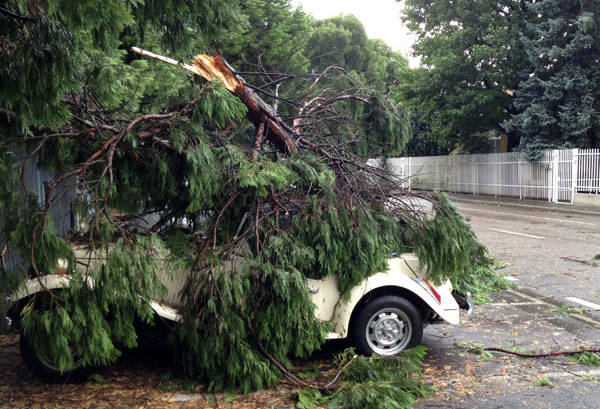 I danni della tromba d'aria a Busto e Castellanza (inserita in galleria)