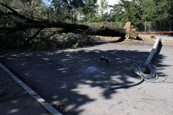 Il giorno dopo la tempesta a Busto Arsizio (inserita in galleria)