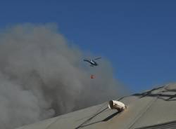 Incendio nella pineta di Marina di Grosseto (inserita in galleria)