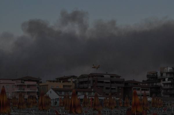 Incendio nella pineta di Marina di Grosseto (inserita in galleria)