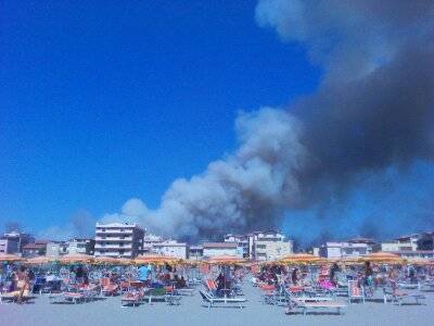 Incendio nella pineta di Marina di Grosseto (inserita in galleria)