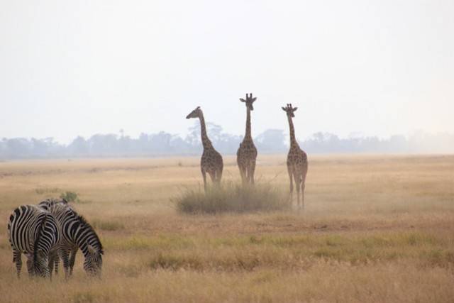Kenya