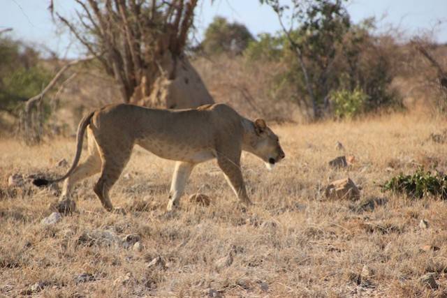 Kenya