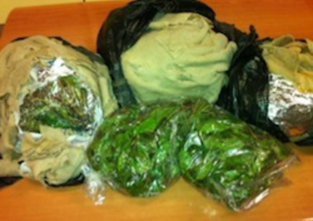 khat malpensa sequestro