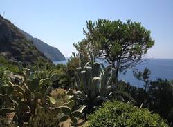 Le Cinque terre ad agosto (inserita in galleria)