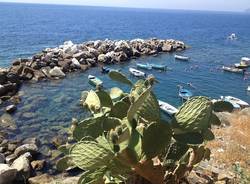 Le Cinque terre ad agosto (inserita in galleria)