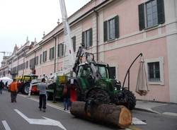 Agrivarese: gli stand (inserita in galleria)