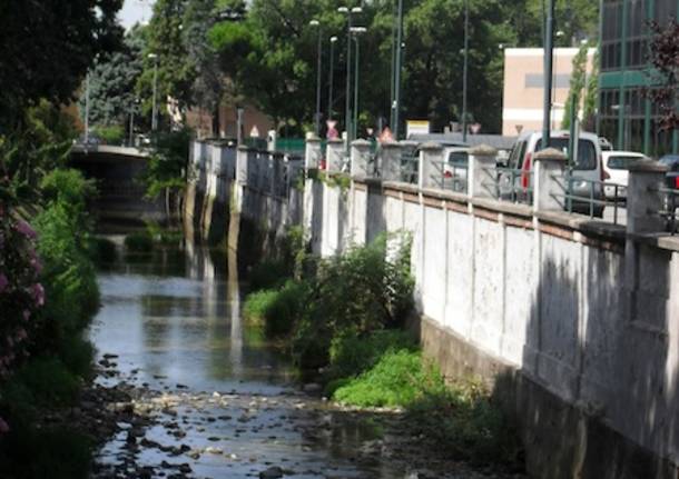 arnetta arno gallarate torrente