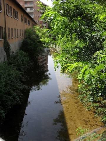 arnetta arno gallarate torrente (per gallerie fotografiche)