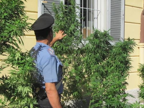 Casa dello spaccio di marijuana a Saronno (inserita in galleria)