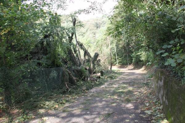 Dopo la bufera, vigili del fuoco al lavoro (inserita in galleria)