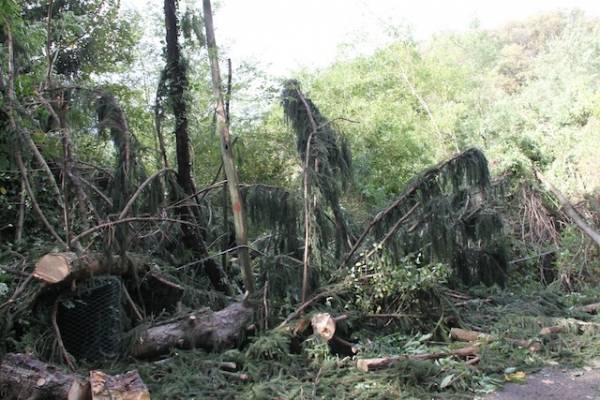 Dopo la bufera, vigili del fuoco al lavoro (inserita in galleria)