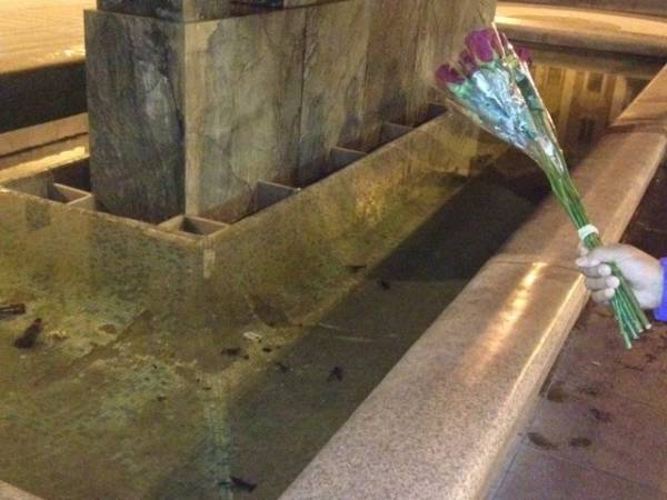 Gamberi nella fontana in centro (inserita in galleria)