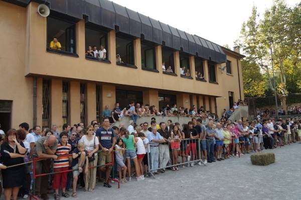 Il Palio delle sei contrade di Masnago (inserita in galleria)