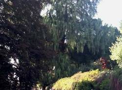 Il parco di Villa San Francesco a Varese (inserita in galleria)