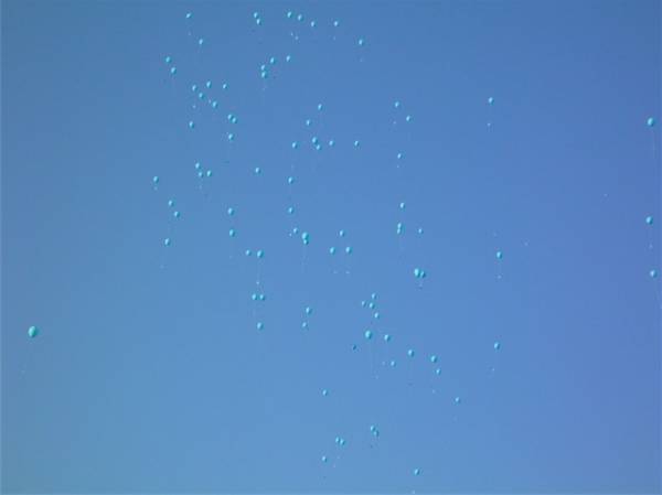 La Madonna di fatima/2 (inserita in galleria)