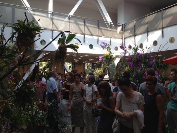Orchidee a Ville Ponti (inserita in galleria)