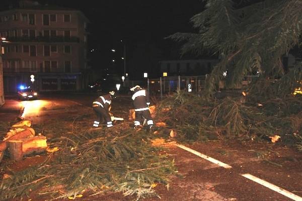 Piante cadute a Luino (inserita in galleria)