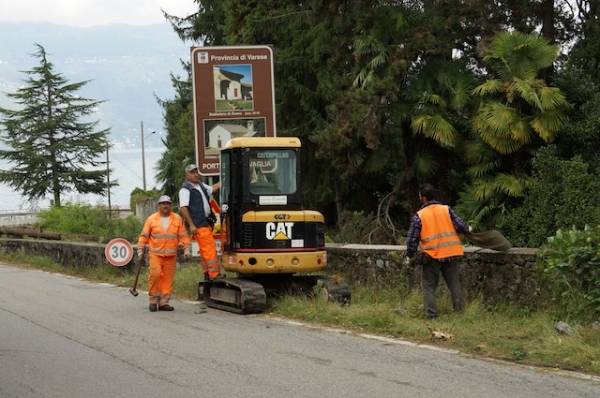 Piante cadute a Porto Valtravaglia tromba d'aria settembre 2012 (inserita in galleria)