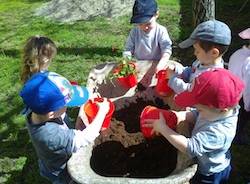 bosco verde, scuola infanzia, bambini, castello cabiaglio