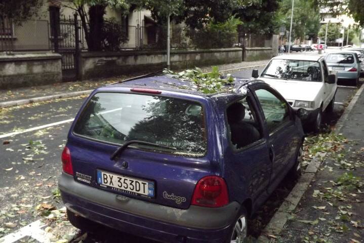 DSCF5114
