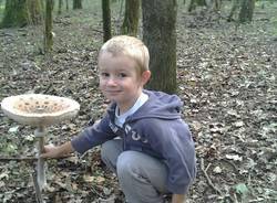 I funghi dei lettori (inserita in galleria)