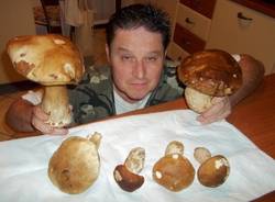 I funghi dei lettori  (inserita in galleria)