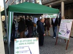 I gazebi della Lega  (inserita in galleria)