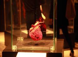 Il corpo umano in mostra a Milano (inserita in galleria)