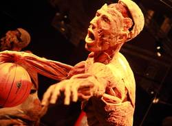 Il corpo umano in mostra a Milano (inserita in galleria)