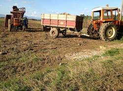 Incidente agricolo castiglione vedano spannocchiatrice (inserita in galleria)